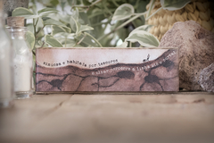 Trio - aquarela terrestre | o trajeto da formiga | - comprar online