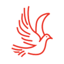 Logo de www.ortopedialibertad.com.ar