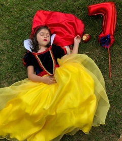 Fantasia Branca de Neve Super Luxo na internet