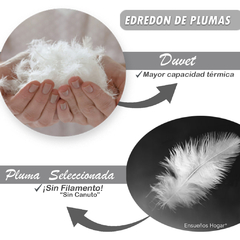 Edredon de plumas seleccionadas King - Ensueños Hogar