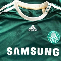 PALMEIRAS GG 2010 na internet