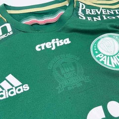 Image of PALMEIRAS P 2014-15