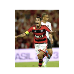 FLAMENGO M 2013-14 en internet