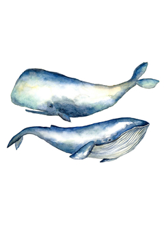 Aquarela - Baleias
