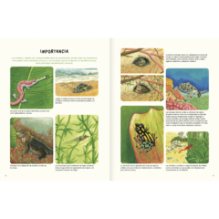 Imagen de Agua y tierra - Anfibios y reptiles de América