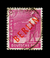 BERLIN - 1948 - Y 012 UR - SÊLO DA ZONA A.A.S. COM SOBRECARGA BERLIN VERMELHA