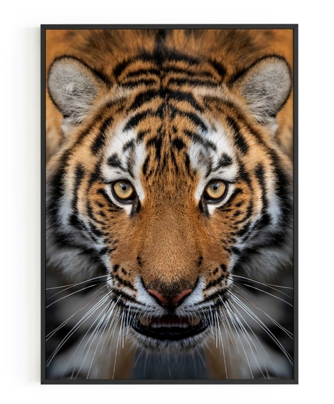 Quadro Decorativo Tigre Arte