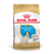 Alimento para perro Jack Russell Terrier Puppy Royal Canin