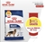 Alimento para Perro Maxi Adult Royal Canin 15kg