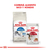 Imagen de Alimento para Gato Adulto Indoor Royal Canin 1,5k