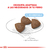 Alimento para perro Medium Starter & Babydog - tienda online