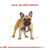 Alimento para Bulldog Frances Adulto Royal Canin 3k en internet