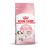 Royal Canin Alimento Seco para Gato Kitten | 7,5 kg