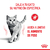 Royal Canin Alimento Seco para Gato Light Weight Care | 7,5 kg en internet