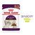 Royal Canin Alimento Húmedo para Gato Sensory Smell | Pouch 85gr x 12u - comprar online