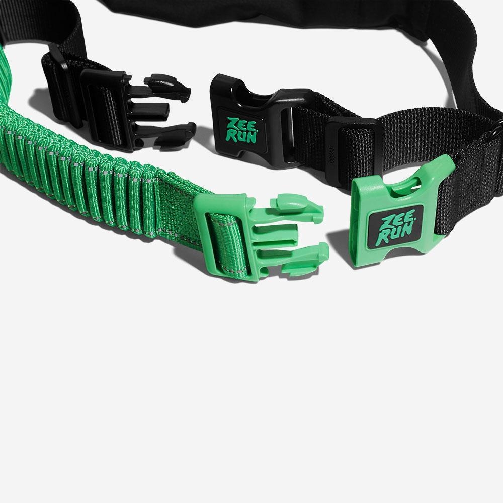 Belt dog cheap