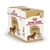 Royal Canin Caja Dachshund x12