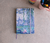 caderno nenufares monet