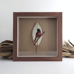 Curió | moldura 23x23cm - comprar online