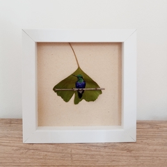 beija-flor-tesoura-verde | moldura 18x18cm branca - buy online