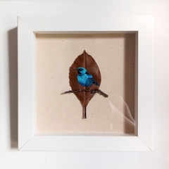 saí-azul | moldura 18x18cm - buy online