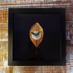 Beija-flor-de-garganta-verde e a Camélia | moldura 24x24cm en internet