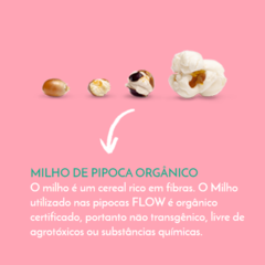 Pipoca Superfood  - Spirulina & Sal do Himalaia na internet