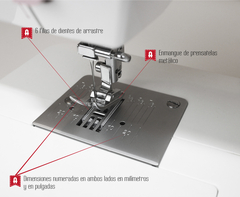 ALFA STYLE 20 - lalenceria.insumos