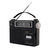 Radio Dual WINCO W-2004 - comprar online