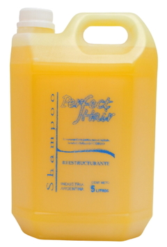 Shampoo Reestructurante x 5000 cc - Perfect Hair - comprar online