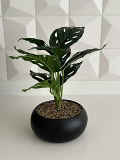 PLANTA TRIESTE NEGRA MODELO 2 - comprar online