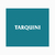 Tarquini A5E x 10 lts - comprar online