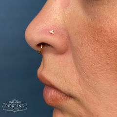 Piercing de ouro para o nariz 