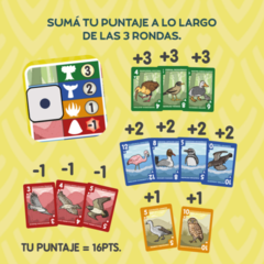 Emplumados - Ludogonia - comprar online