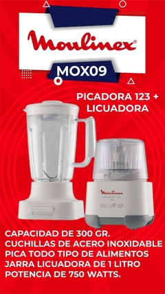 Licuadora Picadora Moulinex 300gr 1 Litro