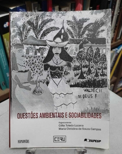 Questões Ambientais E Sociabilidades - Org. Célia Toledo Lucena - Maria Christina S Campos