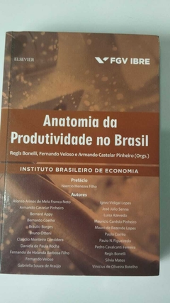 Anatomia Da Produtividade No Brasil - Instituto Brasileiro De Economia - Regis Bonelli, Fernando Veloso.....