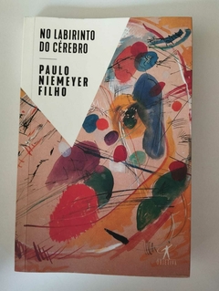 No Labirinto Do Cérebro - Paulo Niemeyer Filho
