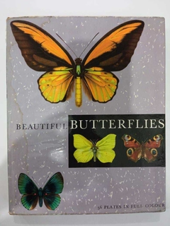 Beautiful Butterflies - 56 Plates In Full Colour - Illus. F Procházka - Test By J Moucha