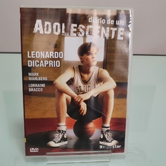 Dvd - Diário de um Adolescente