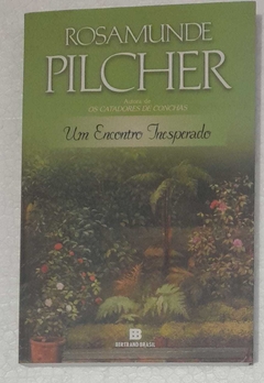 Um Encontro Inesperado - Rosamunde Pilcher