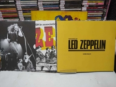 Tesouros Do Led Zeppelin - Vivencia A Maior Banda Dos Anos 1970 - Chris Welch - Sebo Alternativa