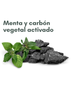 Jabón Exfoliante e Hidratante con Menta y Carbón Vegetal - comprar online