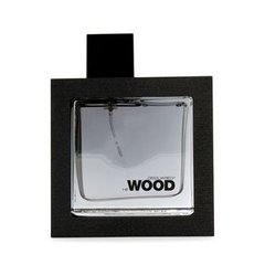 He Wood Silver Wind Wood - DSquared²