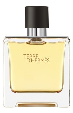 Terre D'Hermes Pure Parfum - Hermes