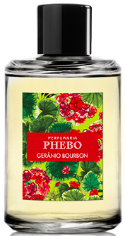 Geranio Bourbon - Phebo