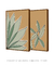 Imagem do Conjunto 2 Quadros Decorativos Folhagem - Palmeira Tropical, Folhas Sutis