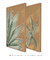 Conjunto 2 Quadros Decorativos Folhagem - Palmeira Tropical, Folhas Sutis - loja online