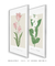 Conjunto 2 Quadros Decorativos - Tulipa Renascer, Jasmim Encantar - comprar online