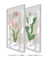 Conjunto 2 Quadros Decorativos - Tulipa Renascer, Jasmim Encantar na internet